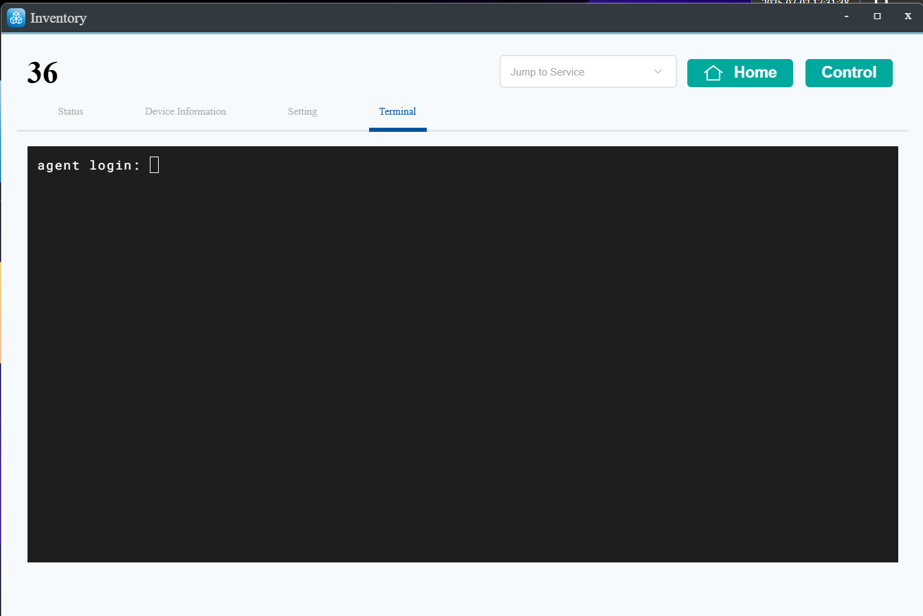 Web terminal interface for direct device access