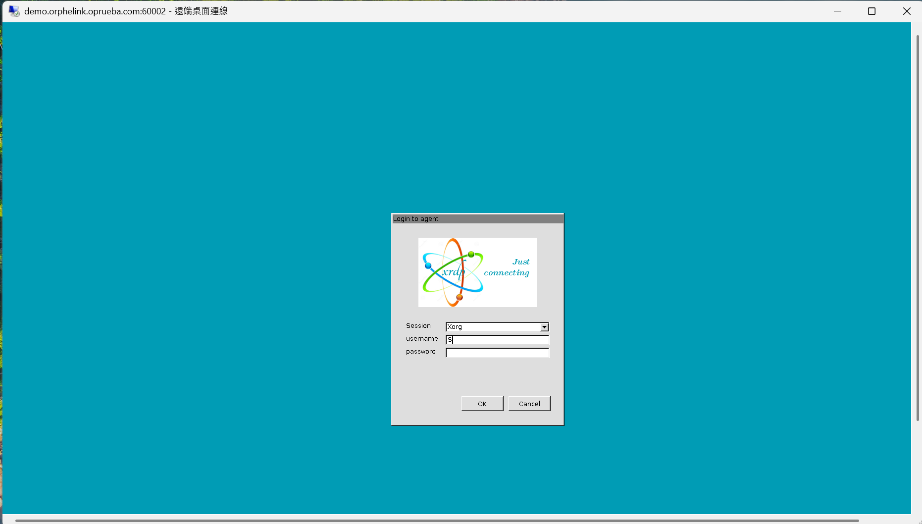 Entering Linux login credentials in the RDP prompt