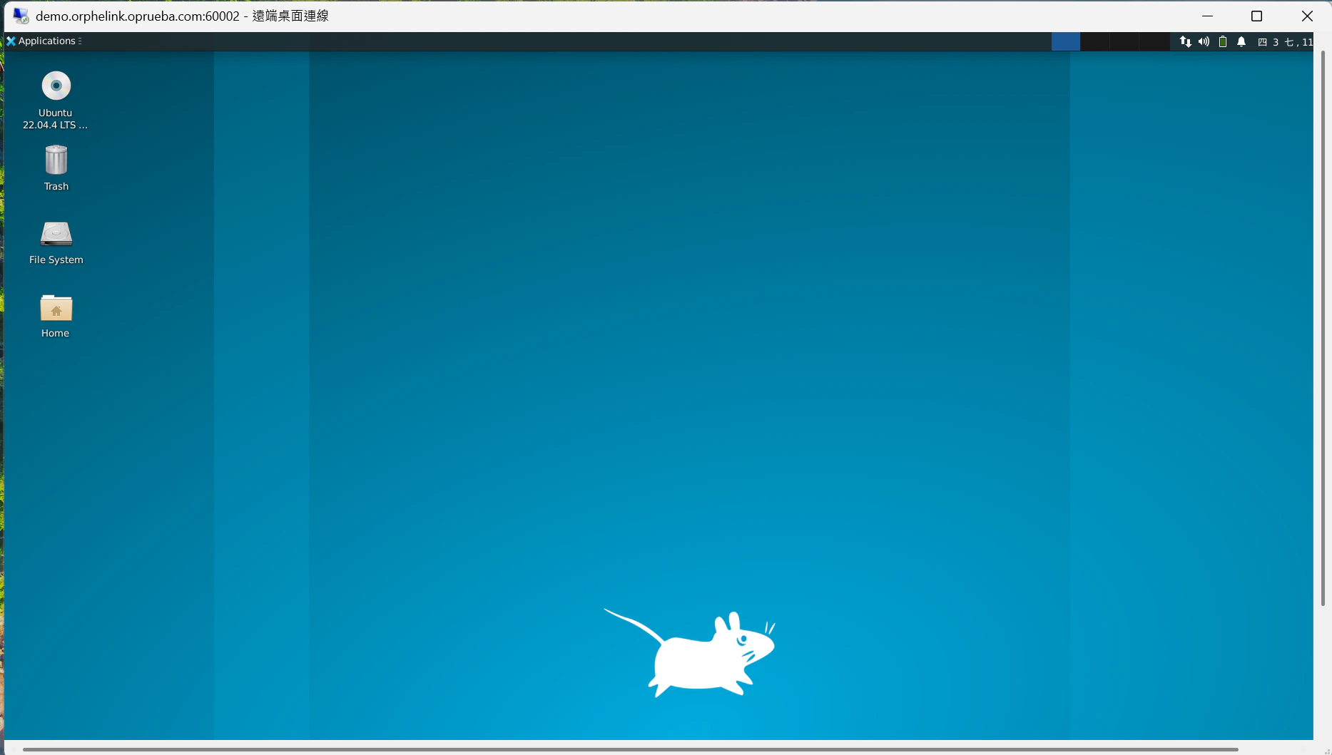 Remote desktop screen of the Linux device accessed via RDP